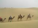 desert caravan, photo by Arjun Chennu, chennai, India, dreams come true
