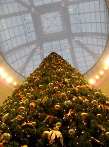 Christmas Tree, photo by Martin Boose, Dresden, Germany, Christmas Eve