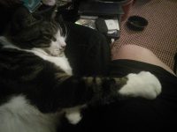 Mae with her big paw on my leg