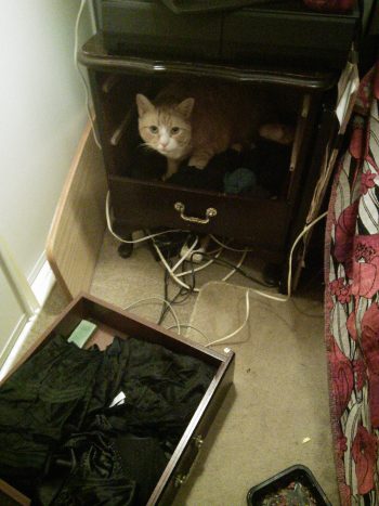 Ruby in the drawer